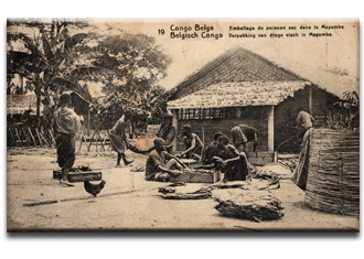 Congo Belga – Stibbe 43 (10Ct) – 1912/21
