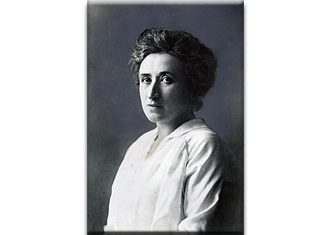 Rozalia Luksenburg (1871 -1919), Política